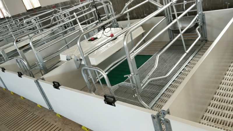 歐式母豬產(chǎn)床有哪些使用優(yōu)勢(shì)?