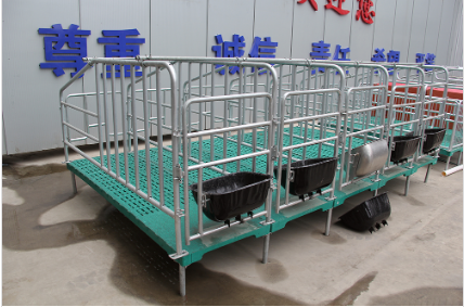 為什么要使用母豬定位欄？